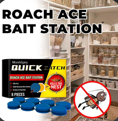 Home Kitchen Cleaning Wholesale Customization