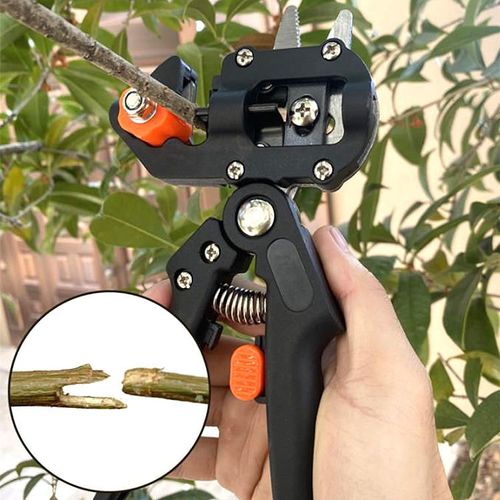 Complete horticultural grafting tools for professional pruning and grafting of fruit trees