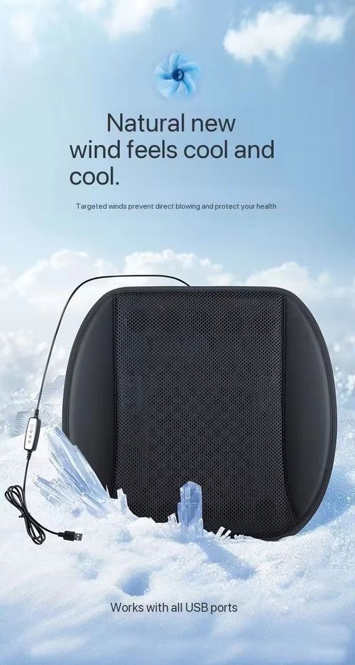 Ventilated Seat Cushion