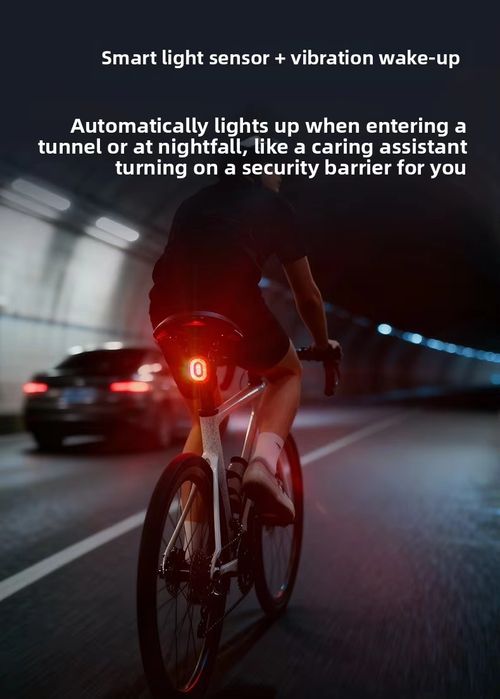 Bike brake tail light
