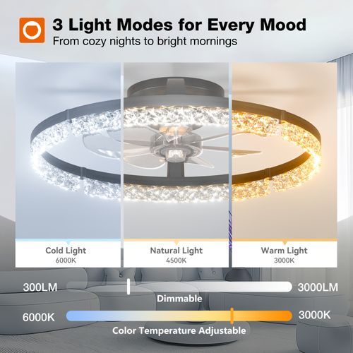 Ceiling Fan