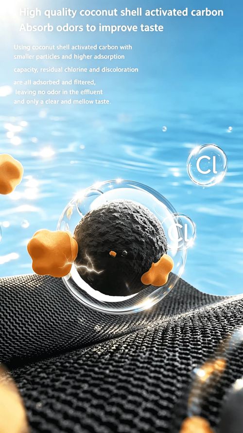 Water Purifier