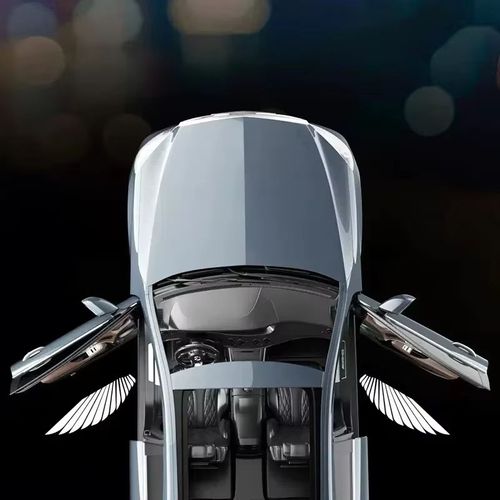Car Door  Light