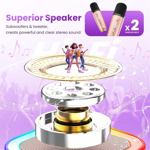 Karaoke Microphone