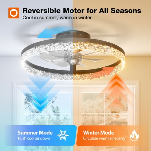 Ceiling Fan