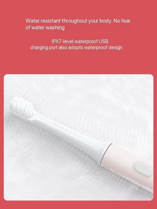 Read Life Soundwave Electric Toothbrush T100 Fully Automatic Rechargeable Student Adult Couple Waterproof Soft Brushed Male Female Electric Toothbrush