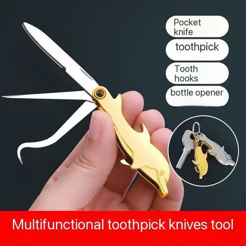 Multi-functional toothpick portable tool, stainless steel teeth picking magic tool, integrated teeth cleaning small knife, keychain, foldable and portable