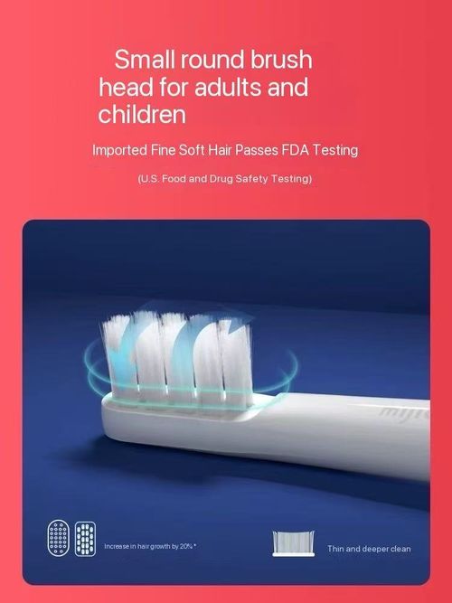 Read Life Soundwave Electric Toothbrush T100 Fully Automatic Rechargeable Student Adult Couple Waterproof Soft Brushed Male Female Electric Toothbrush