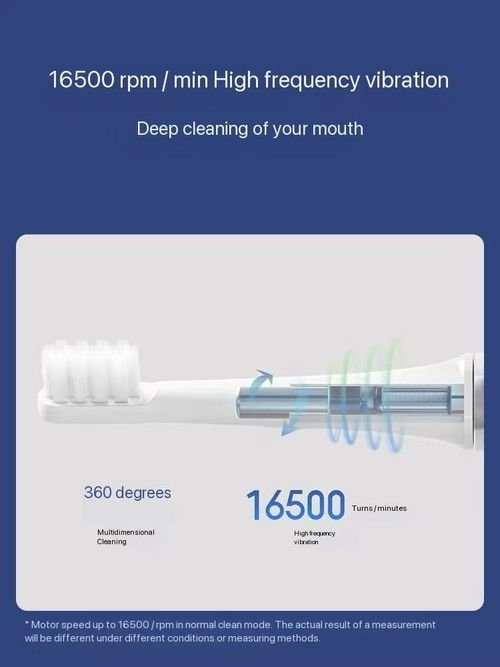 Read Life Soundwave Electric Toothbrush T100 Fully Automatic Rechargeable Student Adult Couple Waterproof Soft Brushed Male Female Electric Toothbrush