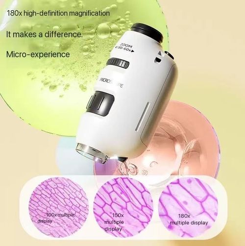 Portable Children's Microscope HD Science Experiment Set Elementary School Experiment Toy Boys and Girls Early Education Puzzle