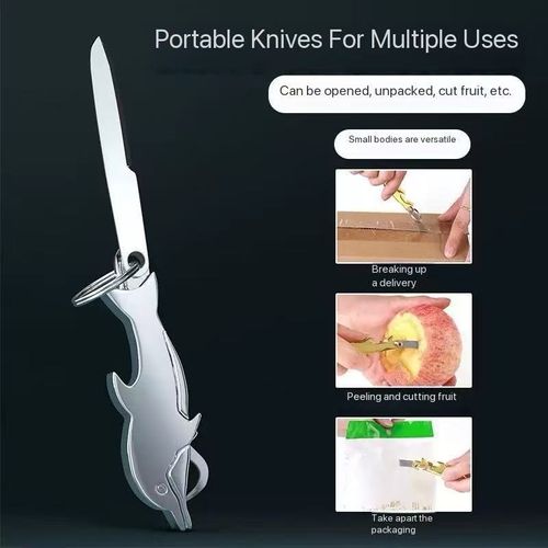 Multi-functional toothpick portable tool, stainless steel teeth picking magic tool, integrated teeth cleaning small knife, keychain, foldable and portable