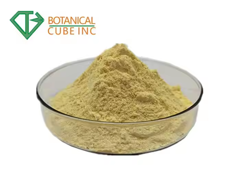100% Pure and Natural Ginger Powder Water Soluble Ginger Tea Powder 1%-20% Gingerol 1%-6%Shogaol