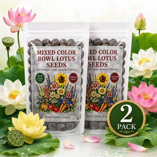 50 Mixed Color Bowl Lotus Seeds for Pots, Ponds & Water Gardens