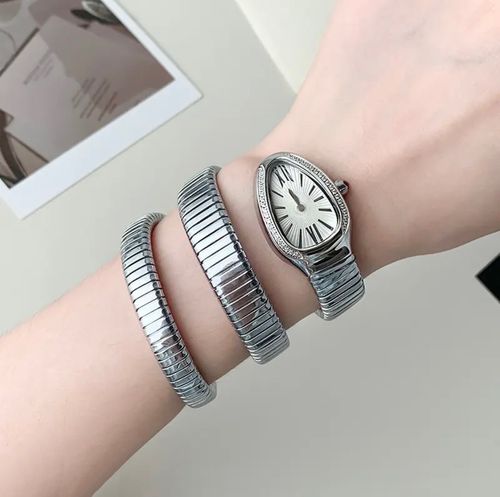 Fashionable and creative snake-shaped two-circle steel strap watch for women