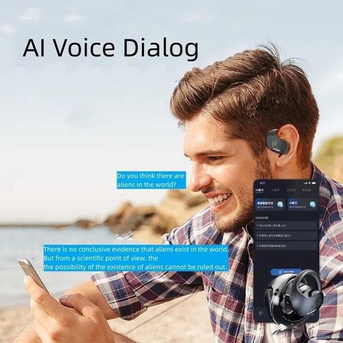 Multi-Language Translator Earbuds Device AI-powered Real-time Translators Function Wireless Headphones for Travel