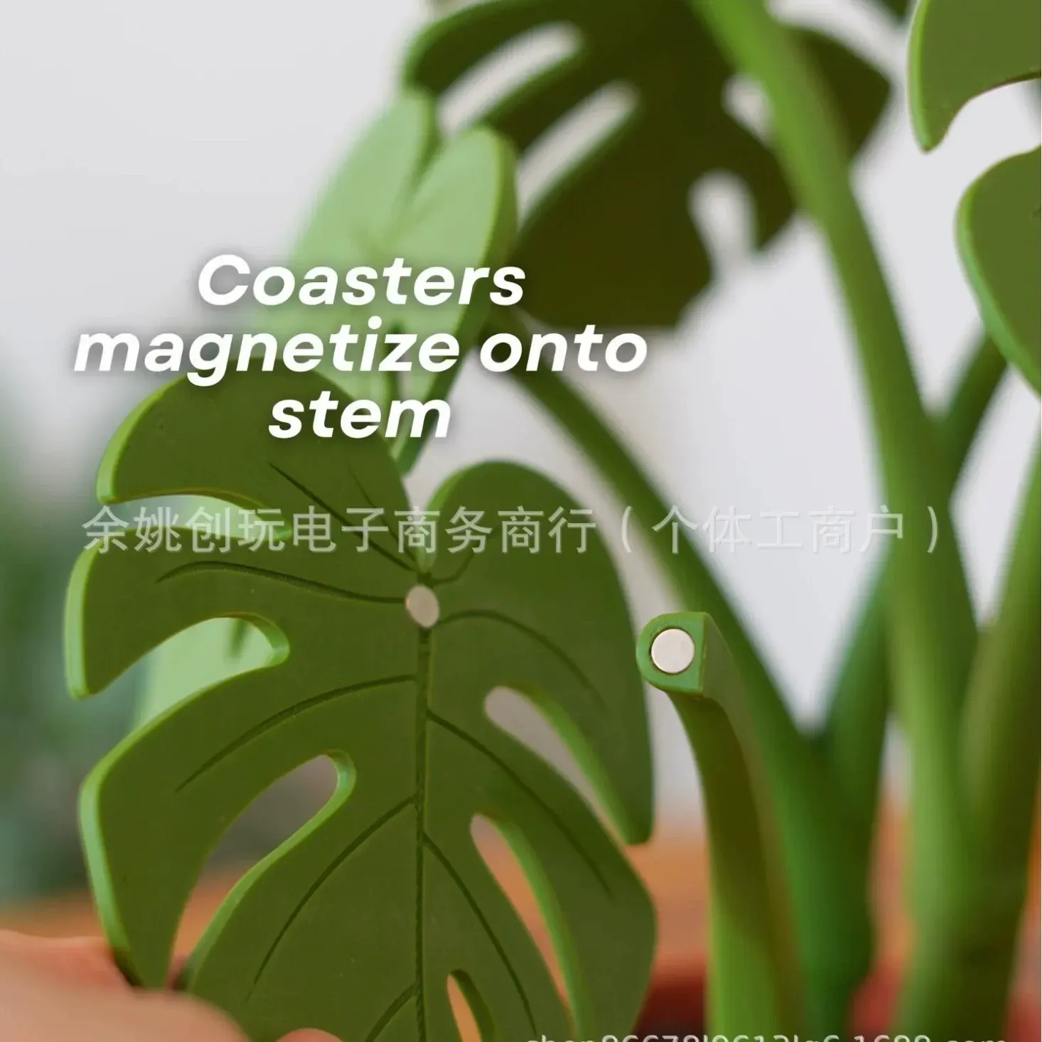 Monstera Coaster Set