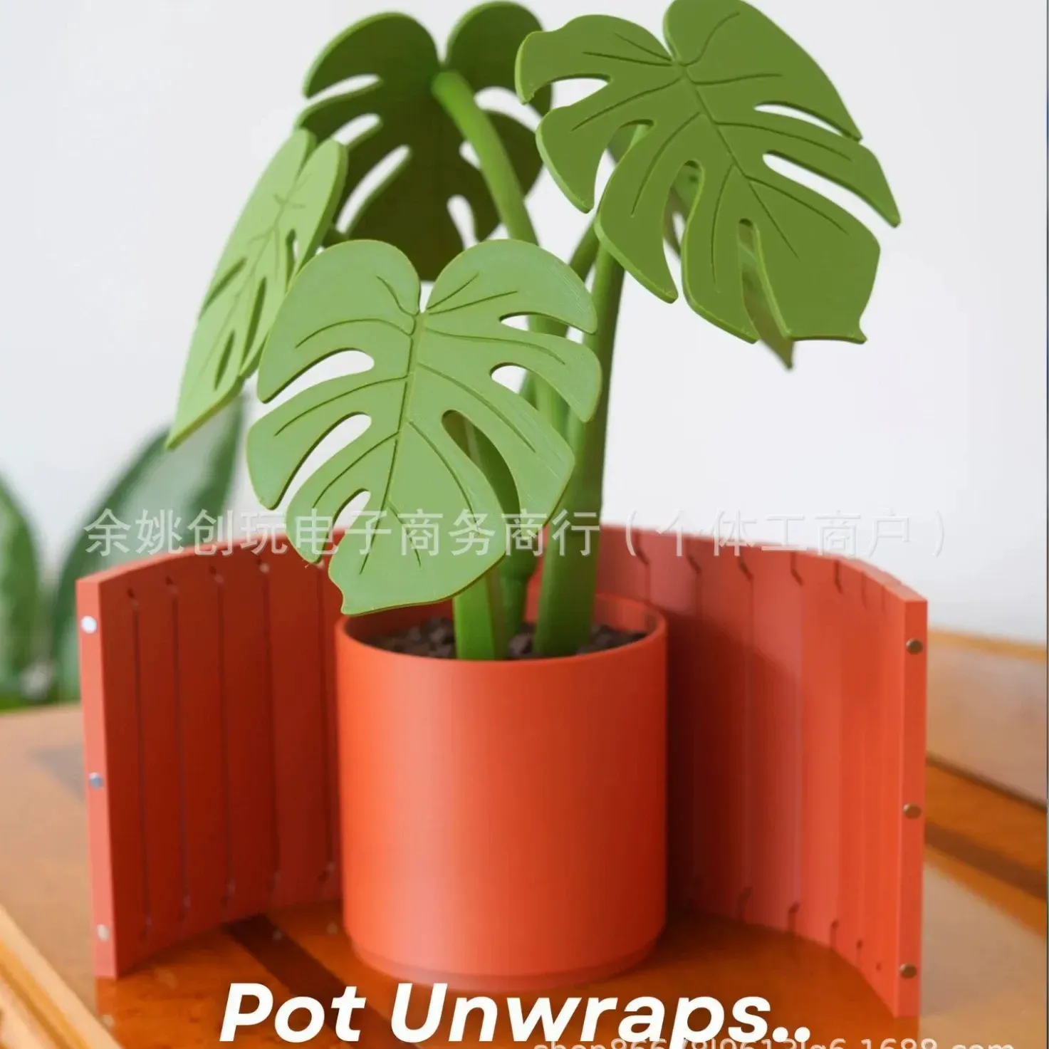 Monstera Coaster Set