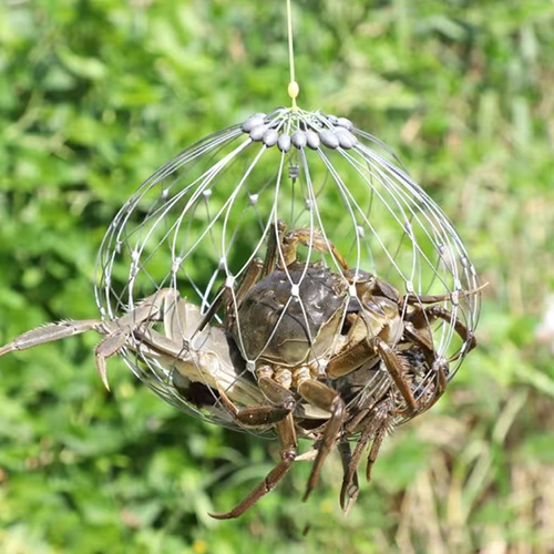 Automatic Steel Wire Crab Trap for Freshwater and Saltwater Fishing Efficient Fishing Cage for Catching Crabs