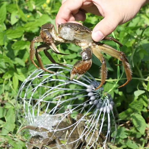 Automatic Steel Wire Crab Trap for Freshwater and Saltwater Fishing Efficient Fishing Cage for Catching Crabs
