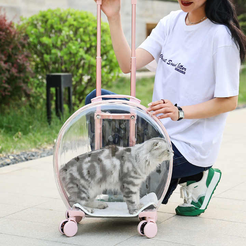 Telescopic Trolley with Universal Jointed Wheel Zipper Outing Pet Carriers for Cats Kittens PVC Breathable Pets Travel Box
