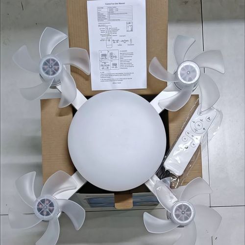 Ceiling Lamp with Remote Control Simple Quiet Ceiling Fan  Lights Home Decor lamp