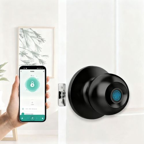 Indoor Room Stainless Steel Spherical Durable Fingerprint Sensor Smart Door Handle Knob Lock Tuya Smart Lock Door Smart Door