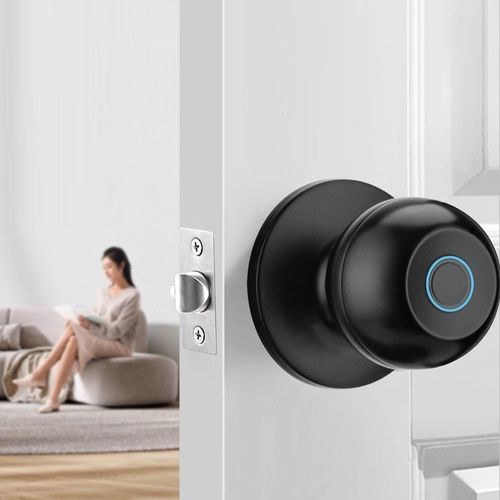 Indoor Room Stainless Steel Spherical Durable Fingerprint Sensor Smart Door Handle Knob Lock Tuya Smart Lock Door Smart Door