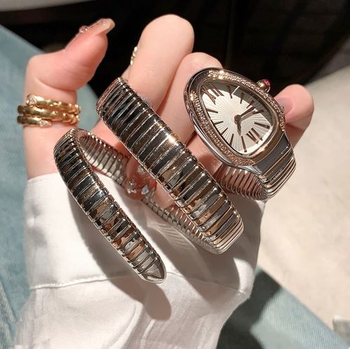 Fashionable and creative snake-shaped two-circle steel strap watch for women