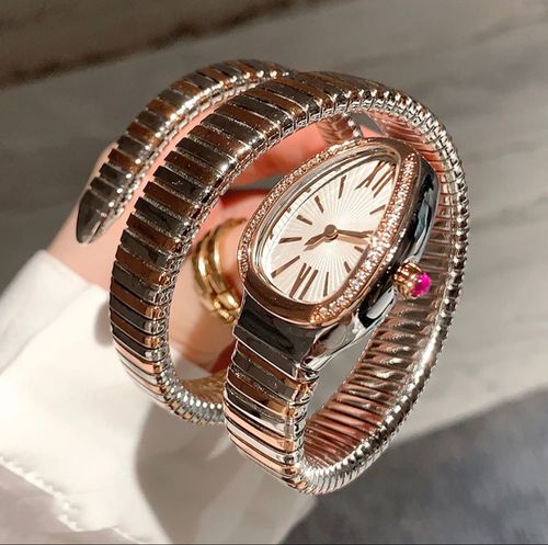 Fashionable and creative snake-shaped two-circle steel strap watch for women