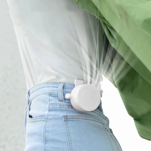 Rechargeable Handheld Fan