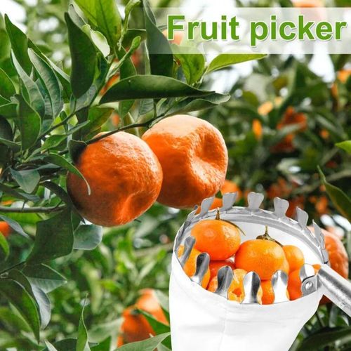 Tightstore Telescopic Fruit Picker, Fruit Tree Picker, Fruit Picking Tools for Harvesting