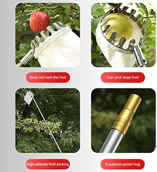 Tightstore Telescopic Fruit Picker, Fruit Tree Picker, Fruit Picking Tools for Harvesting