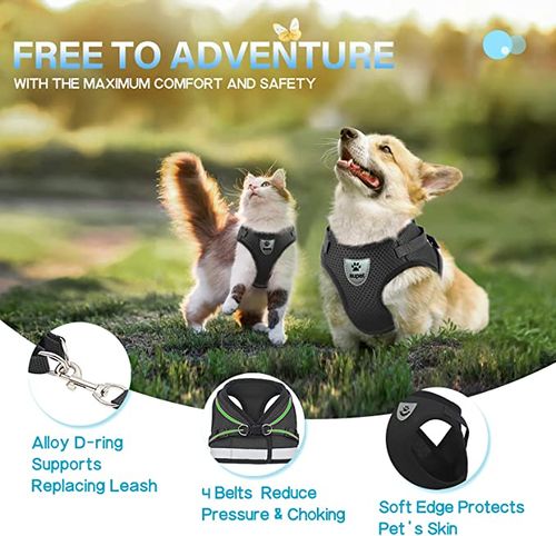 🐕🐈Adjustable Breathable Luminous Purrfect Feline Freedom Harness