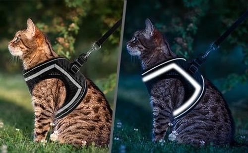 🐕🐈Adjustable Breathable Luminous Purrfect Feline Freedom Harness