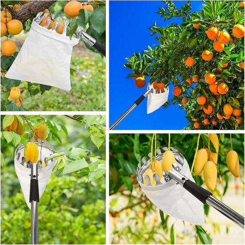 Tightstore Telescopic Fruit Picker, Fruit Tree Picker, Fruit Picking Tools for Harvesting