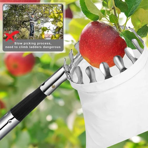 Tightstore Telescopic Fruit Picker, Fruit Tree Picker, Fruit Picking Tools for Harvesting