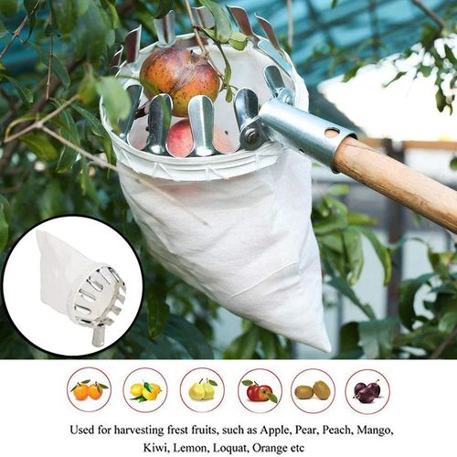 Tightstore Telescopic Fruit Picker, Fruit Tree Picker, Fruit Picking Tools for Harvesting