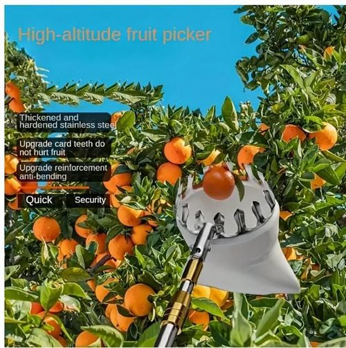 Tightstore Telescopic Fruit Picker, Fruit Tree Picker, Fruit Picking Tools for Harvesting