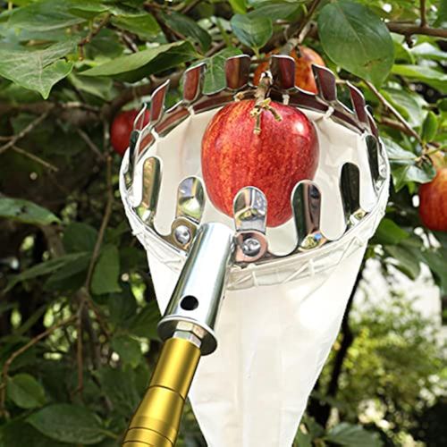 Tightstore Telescopic Fruit Picker, Fruit Tree Picker, Fruit Picking Tools for Harvesting