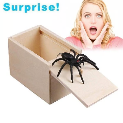 Super Funny Crazy Prank Gift Box Spider 🎁Special Gifts for Friends Family!
