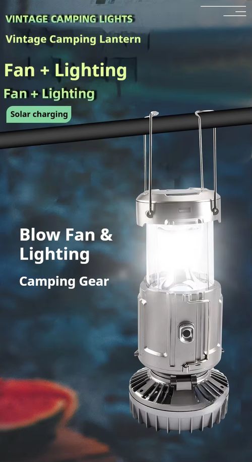 Solar-Powered Fan Light