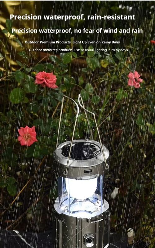 Solar-Powered Fan Light