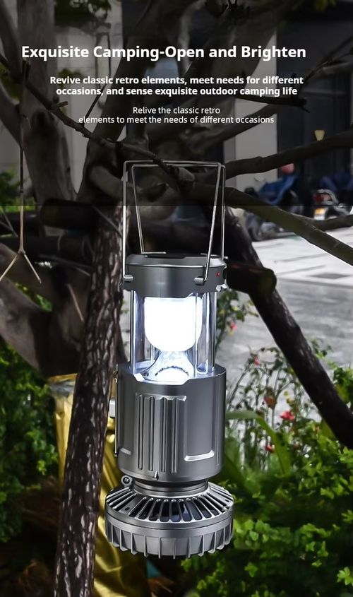 Solar-Powered Fan Light