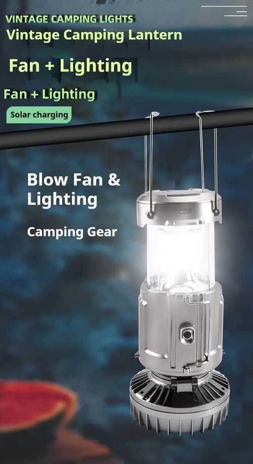 Solar-Powered Fan Light