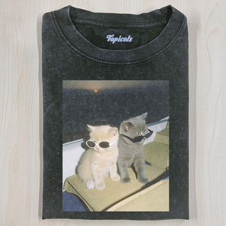 CAT  WITH SUNGLASSES HOODIE