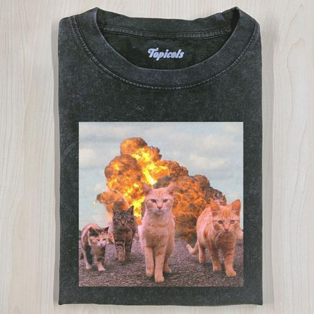 CALM AND COLLECTED CAT  T-SHIRT