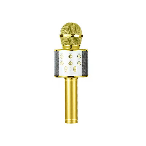 Microphone and speaker combo microphone