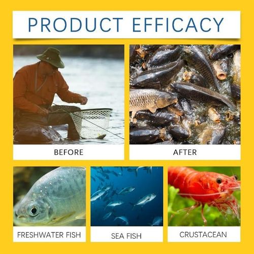 Rapid Action Liquid Bait Scent