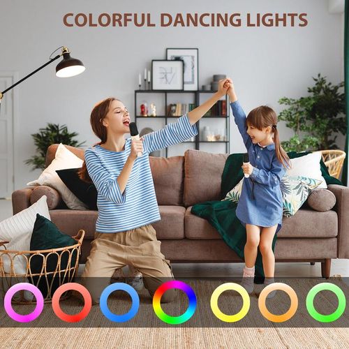Mini karaoke machine with microphone sound system, portable karaoke machine with 2 wireless microphones, birthday gifts for girls and children aged 4-12, family gatherings,