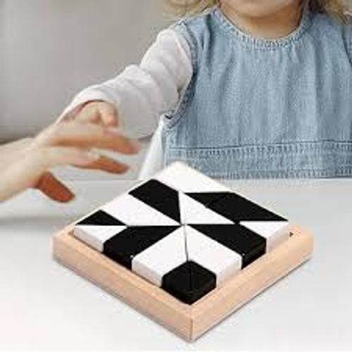 Pocket-Size Dual-Color Logic Puzzle